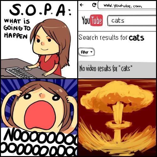 SOPA_Cats
